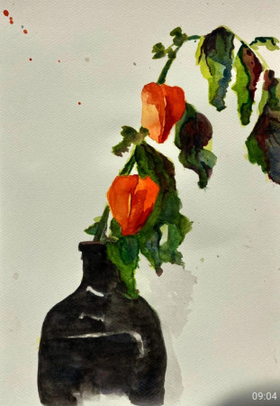 Papavers aquarel op papier