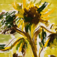 /album/bloemen/zonnebloemen1-jpeg1/