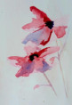 /album/bloemen/aquarelbloem-jpeg/