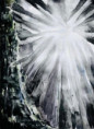 /album/natuur/licht-jpg/